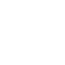 Leading-edge digital solutions